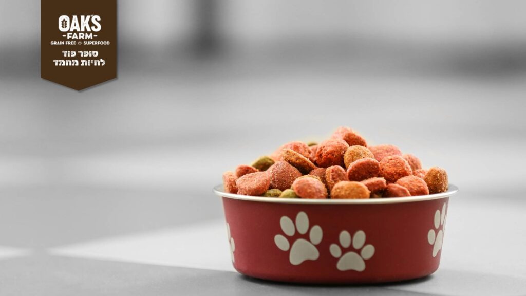 קערה עם אוכל לכלבים