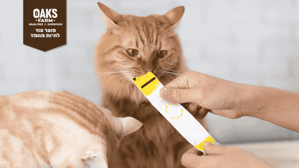 חטיפים לחתולים