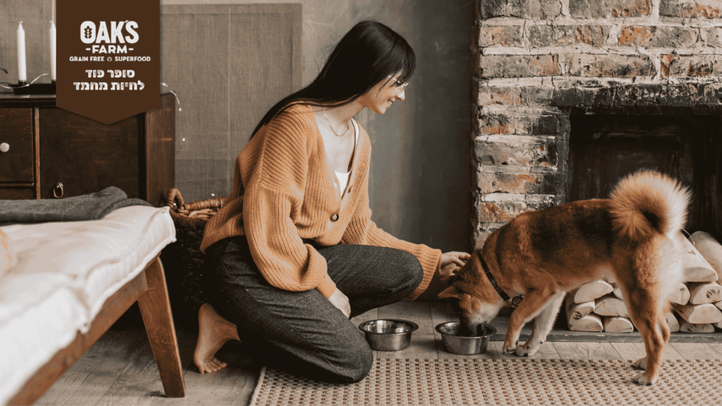 איך מעבירים גור לאוכל לבוגרים